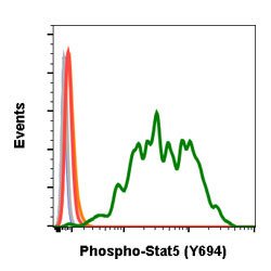 STAT5A Rabbit anti-Human, Mouse, Unconjugated, Clone: G11, Abnova:Antibodies:Primary