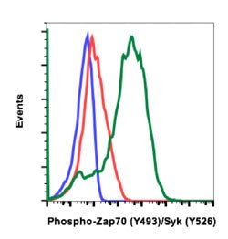 ZAP70 Rabbit anti-Human, Mouse, Unconjugated, Clone: H11, Abnova:Antibodies:Primary