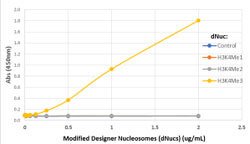 HIST1H3A Rabbit anti-Human, Unconjugated, Clone: RM340, Abnova&trade;