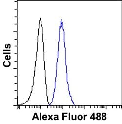 PLXND1, Goat, Polyclonal Antibody, Abnova 100&mu;g; Unlabeled:Antibodies,