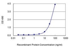 FCGR1A Mouse anti-Human, Unconjugated, Abnova&trade;