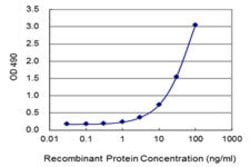 FCGR1A Mouse anti-Human, Unconjugated, Abnova™