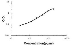 Abnova Fasl (Rat) ELISA Kit 1 Kit | Buy Online | Abnova&trade; | Fisher Scientific