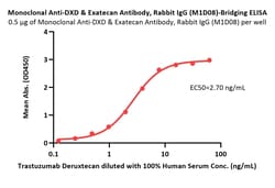 Monoclonal Anti-DXD & Exatecan Antibody, Rabbit IgG (M1D08), ACROBiosystems