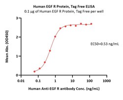 AcroBiosystems&nbsp;Human EGF R Protein, Tag Free (MALS verified)
