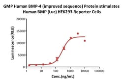 AcroBiosystems GMP Human BMP-4 / BMP2B (improved sequence) Protein 1 mg | Buy Online | AcroBiosystems | Fisher Scientific