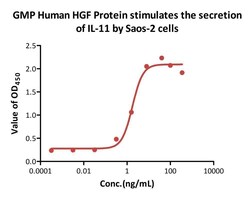 AcroBiosystems&nbsp;GMP Human HGF Protein