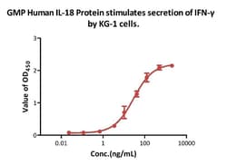 AcroBiosystems&nbsp;GMP Human IL-18 Protein