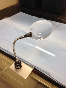 AIMS Magnetic Magnifier Magnetic Magnifier:Animal Care and Research, Quantity:
