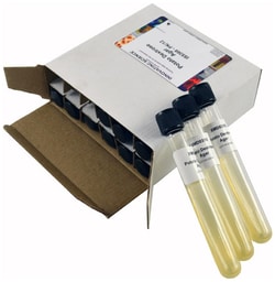 Innovating Science™ Potato Dextrose Agar Tubes