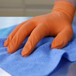 AMMEX CORPORATION Xtreme DT Orange Nitrile PF Ind Gloves 2X-Large | Buy Online | AMMEX CORPORATION | Fisher Scientific