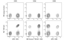 C 1 TCR Mouse anti-Human, PE, Clone: JOVI.1, BD Pharmingen Hu TCR Cbeta1