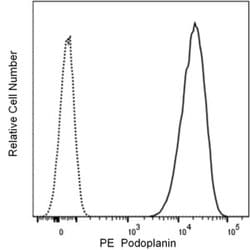 Podoplanin Hamster anti-Mouse, PE, Clone: 8.1.1, BD Pharmingen Ms Podoplanin