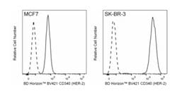 CD340 (HER-2) Mouse anti-Human, BV421, Clone: 24D2, BD Horizon Hu CD340