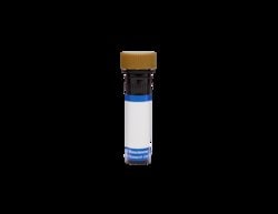 CD138 Mouse anti-Human, BB700, Clone: MI15, BD Horizon 50 &mu;g; BB700:Antibodies,