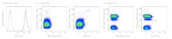 CD133 Mouse anti-Human, APC, Clone: 293C3, BD Pharmingen 25 &mu;g; APC:Antibodies,