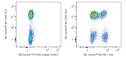 T-bet Mouse anti-Human, Mouse, BV480, Clone: O4-46, BD Horizon 25 Tests | Buy Online | BD Biosciences | Fisher Scientific
