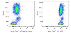 CD47 Mouse anti-Human, Alexa Fluor 647, Clone: CC2C6, BD Pharmingen 25