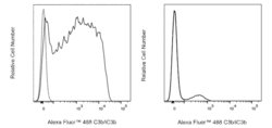 C3b/iC3b Mouse anti-Human, Alexa Fluor 488, Clone: 30000000, BD Pharmingen:Antibodies:Primary