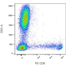 CD8 Mouse anti-Human, Rhesus, Cynomolgus, Baboon (Reported), PE, Clone: OKT8 (also known as OKT-8; OKT 8), BD Pharmingen 100 Tests | Buy Online | BD Biosciences | Fisher Scientific