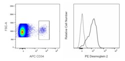 Desmoglein 2 Mouse anti-Human, PE, Clone: 6D8 (also known as 6D8), BD Pharmingen:Antibodies:Primary