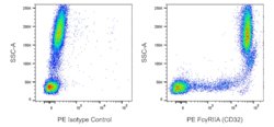Fc RIIA (CD32) Mouse anti-Human, PE, Clone: IV.3 (also known as IV3), BD