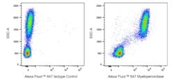 Myeloperoxidase Mouse anti-Human, Alexa Fluor 647, Clone: 5B8, BD Pharmingen:Antibodies:Primary