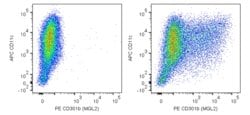CD301b (Mgl2) Rat anti-Mouse, PE, Clone: URA-1, BD Pharmingen 0.1 mg; PE:Antibodies,