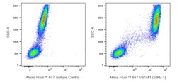 VSTM1 (SIRL-1) Mouse anti-Human, Alexa Fluor 647, Clone: 1A5/SIRL-1 (also