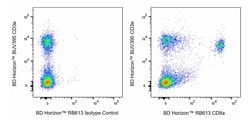 CD8a, Rat Anti-Mouse, RB613, 53-6.7, BD Horizon:Antibodies:Primary Antibodies