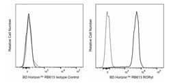 ROR t, Mouse Anti-Mouse, RB613, Clone: Q31-378, BD Horizon:Antibodies:Primary