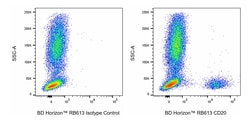 CD20, Mouse Anti-Human, RB613, Clone: 2H7, BD Horizon:Antibodies:Primary