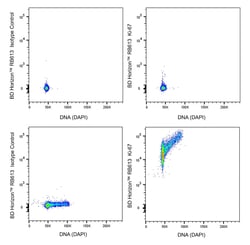 Ki-67, Mouse Anti-Human, RB613, Clone: B56, BD Horizon 100 Tests; RB613:Antibodies,