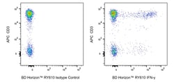 IFN- , Mouse Anti-Human, RY610, B27, BD Horizon:Antibodies:Primary Antibodies