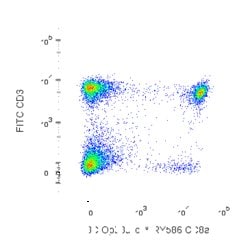 CD8 Mouse anti-Rat, RY586, Clone: OX-8, BD OptiBuild 50 &mu;g; RY586:Antibodies,