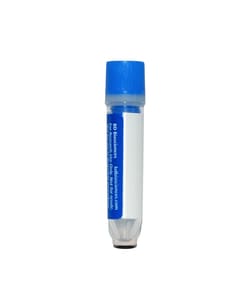 Sox17, Mouse Anti-Human, Oligo, Clone: P7-969, BD AbSeq™