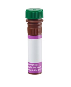 Terminal Transferase (TdT) Mouse anti-Human, Brilliant Violet 510, Clone: