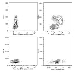 AhR Mouse anti-Human, Mouse, Alexa Fluor 488, Clone: T49-550, BD Biosciences