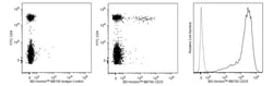 CD25 Rat anti-Mouse , BB700, Clone: PC61, BD Biosciences 0.1 mg; BB700:Antibodies,