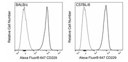 CD229 Mouse anti-Mouse , Alexa Fluor 647, Clone: Ly9.7.144, BD Biosciences
