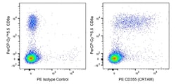 CD355 (CRTAM) Rat anti-Mouse , PE, Clone: 11-5., BD Biosciences 0.1 mg;