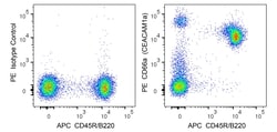 CD66a (CEACAM1a) Mouse anti-Mouse , PE, Clone: CC1 (also known as MAb-CCl;