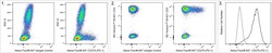 CD279 (PD-1) Mouse anti-Human , Alexa Fluor 647, Clone: MIH4, BD Biosciences
