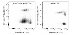 CD28 Mouse anti-Mouse , Clone: D665, BD Biosciences 500 &mu;g:Antibodies,