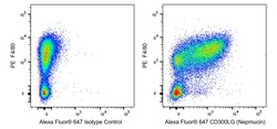 CD300LG (Nepmucin) Rat anti-Mouse , Alexa Fluor 647, Clone: ZAQ2, BD Biosciences