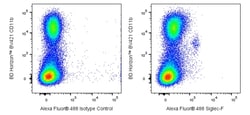 BD Biosciences Siglec-F Rat anti-Mouse , Alexa Fluor 488, Clone: E50-2440, BD Biosciences™