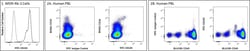 CD133 Mouse anti-Human, FITC, Clone: W6B3C1 (also known as W6B3), BD Pharmingen