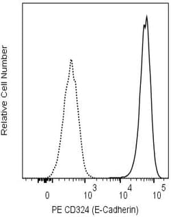CD324 (E-Cadherin) Rat anti-Mouse, Human, PE, Clone: DECMA-1, BD Biosciences