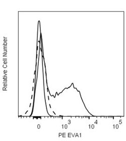 EVA1 Mouse anti-Mouse, Human , PE, Clone: G9P3-1, BD Biosciences 0.1 mg;