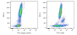 CD38 Mouse anti-Human, FITC, Clone: HB7 (also known as HB-7), BD Pharmingen:Antibodies:Primary